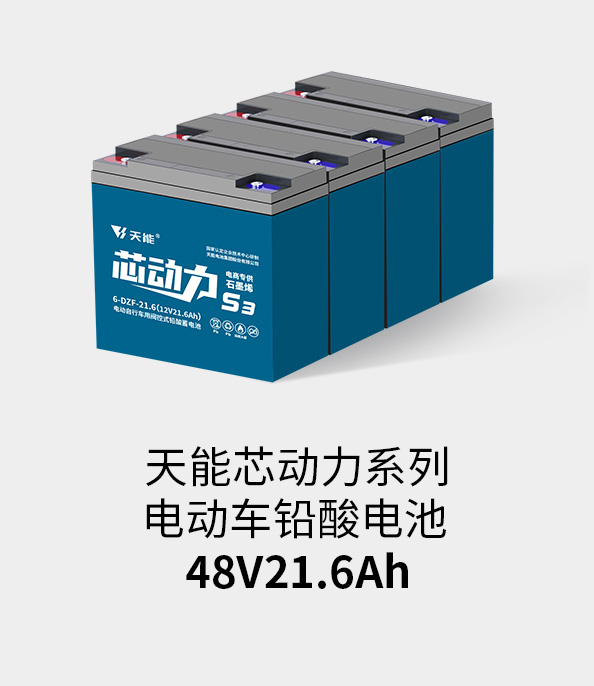 伟德betvlctor电池48v20ah