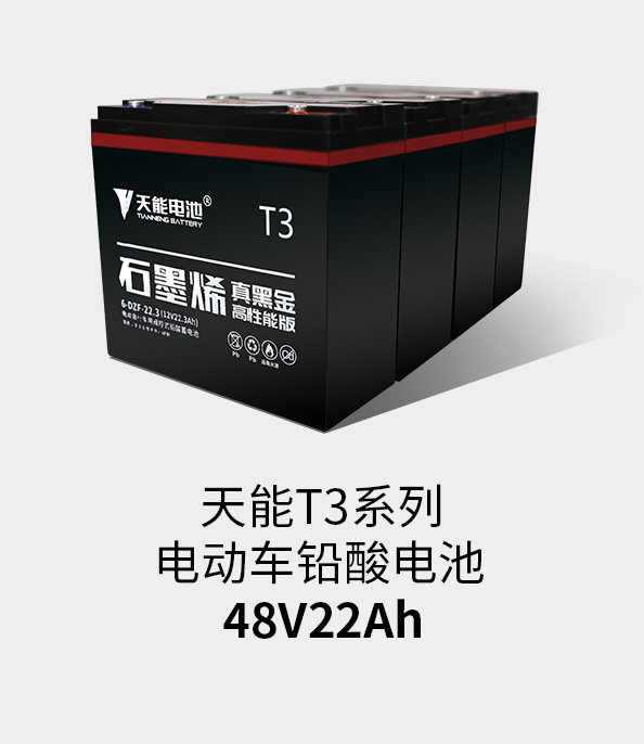 伟德betvlctorT3系列48v22ah